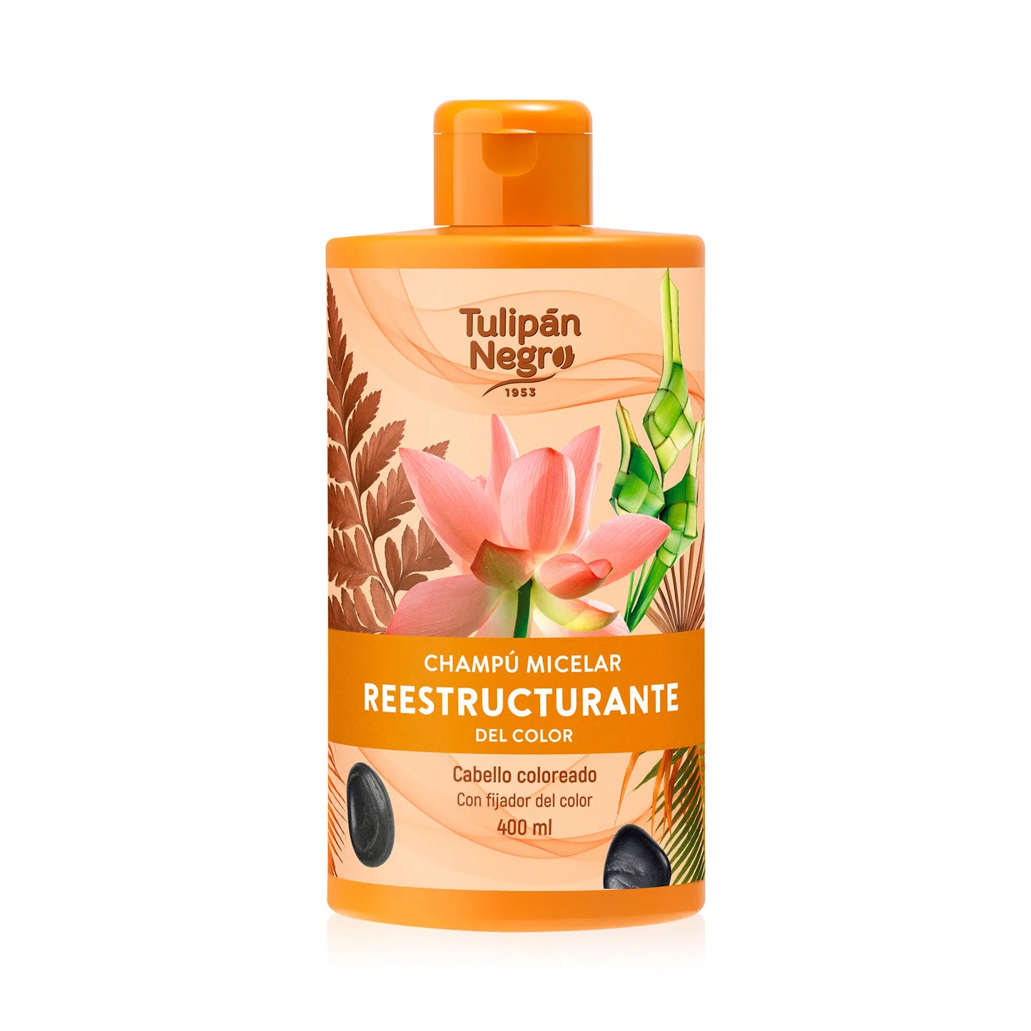 Champú Micelar Reestructurante del Color – Protección y Brillo ✨