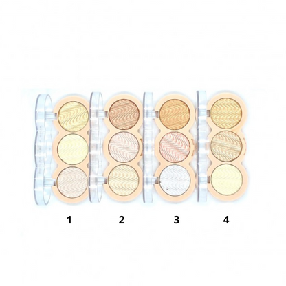 Highlighting Powder Kit